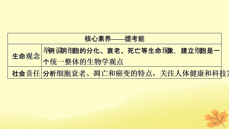 2023版高考生物一轮总复习第4单元细胞的生命历程第3讲减数分裂和受精作用课件第3页