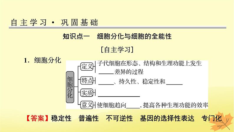 2023版高考生物一轮总复习第4单元细胞的生命历程第3讲减数分裂和受精作用课件第4页