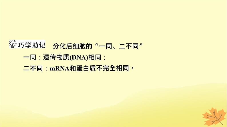 2023版高考生物一轮总复习第4单元细胞的生命历程第3讲减数分裂和受精作用课件第5页