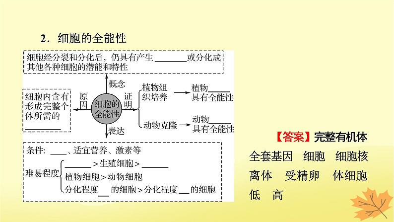 2023版高考生物一轮总复习第4单元细胞的生命历程第3讲减数分裂和受精作用课件第6页
