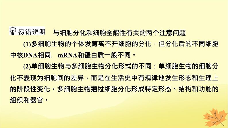 2023版高考生物一轮总复习第4单元细胞的生命历程第3讲减数分裂和受精作用课件第7页