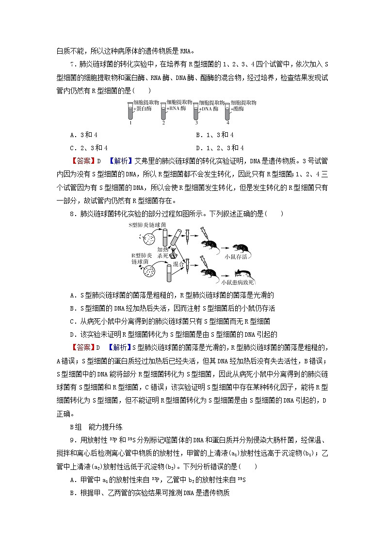 2023版高考生物一轮总复习第6单元基因的本质基因的表达第1讲DNA是主要的遗传物质课后提能演练第3页
