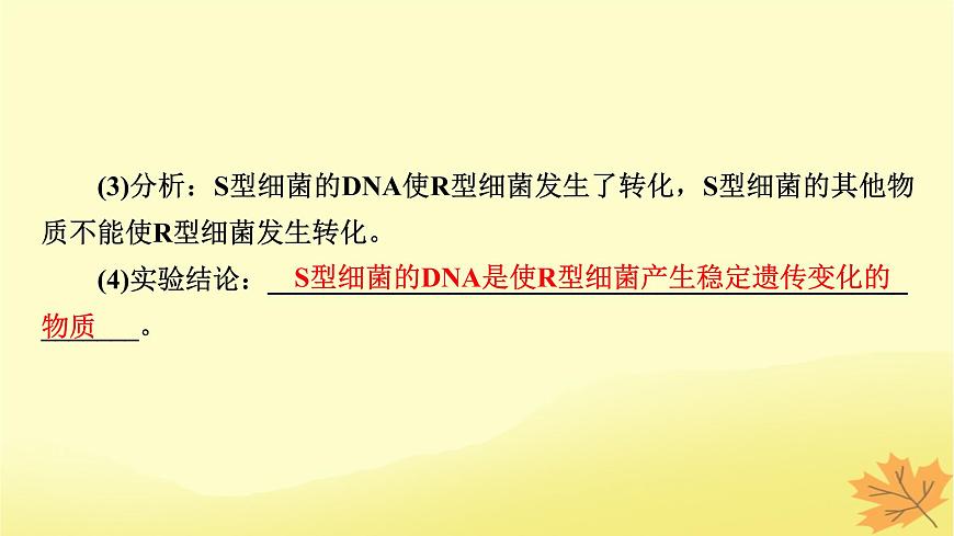 2023版高考生物一輪總復(fù)習(xí)第6單元基因的本質(zhì)基因的表達(dá)第1講DNA是主要的遺傳物質(zhì)課件第5頁