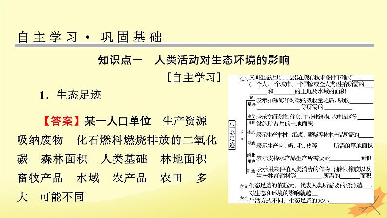 2023版高考生物一轮总复习第11单元生态系统人与环境第4讲人与环境课件第4页