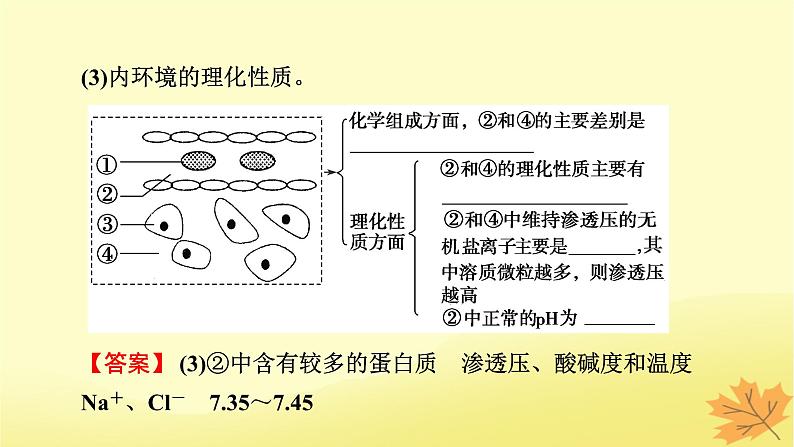 2023版高考生物一轮总复习第8单元人和高等动物生命活动的调节第1讲人体的内环境与稳态课件第7页