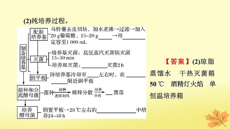 2023版高考生物一轮总复习第12单元发酵工程第2讲微生物的培养与应用课件07