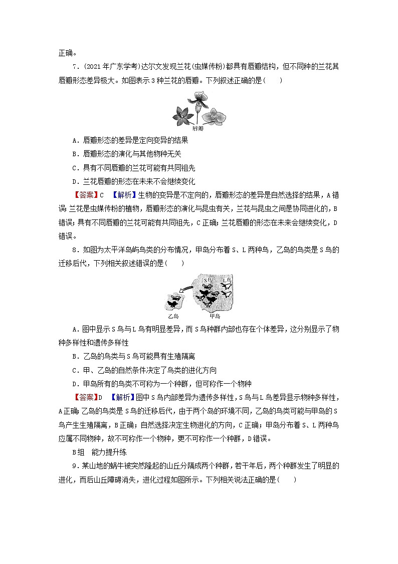 2023版高考生物一轮总复习第7单元基因突变及其他变异生物的进化第3讲生物的进化课后提能演练03