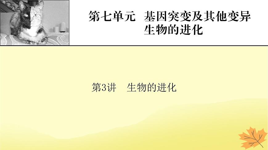 2023版高考生物一輪總復(fù)習(xí)第7單元基因突變及其他變異生物的進(jìn)化第3講生物的進(jìn)化課件第1頁