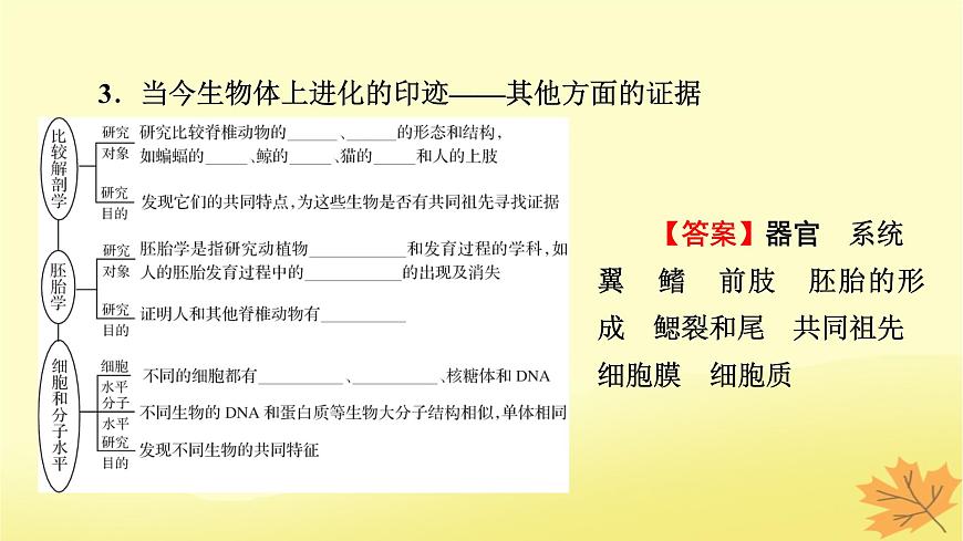 2023版高考生物一輪總復(fù)習(xí)第7單元基因突變及其他變異生物的進(jìn)化第3講生物的進(jìn)化課件第6頁