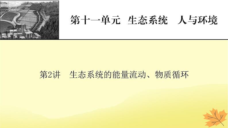 2023版高考生物一轮总复习第11单元生态系统人与环境第2讲生态系统的能量流动物质循环课件第1页