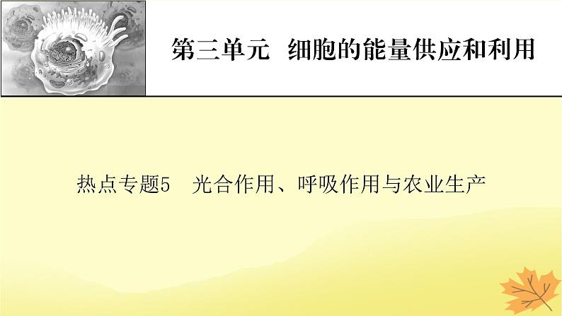 2023版高考生物二轮总复习热点专题5光合作用呼吸作用与农业生产课件第1页