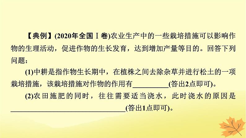 2023版高考生物二轮总复习热点专题5光合作用呼吸作用与农业生产课件第6页