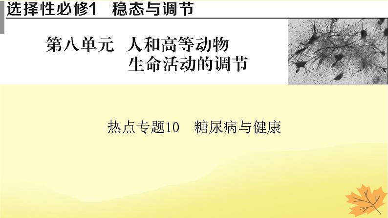 2023版高考生物二轮总复习热点专题10糖尿病与降课件01