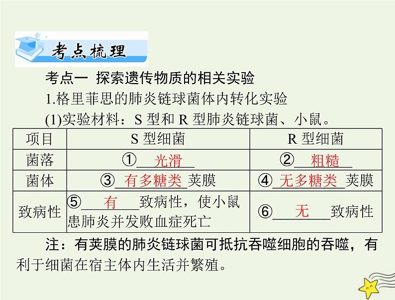 2023版高考生物一轮总复习第3章第1节DNA是主要的遗传物质课件第5页