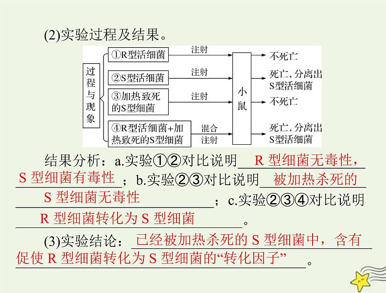 2023版高考生物一轮总复习第3章第1节DNA是主要的遗传物质课件第6页
