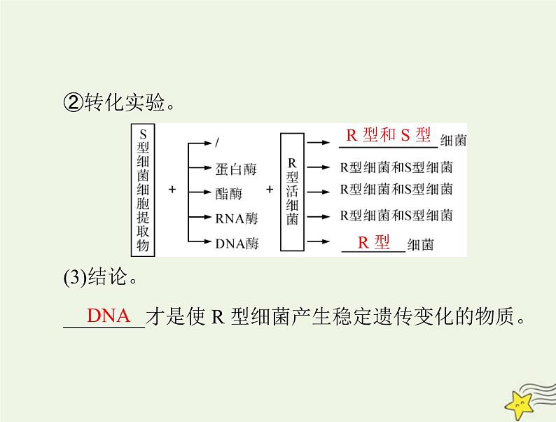 2023版高考生物一轮总复习第3章第1节DNA是主要的遗传物质课件第8页