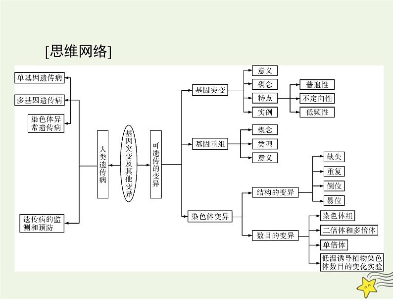 2023版高考生物一轮总复习第5章第1节基因突变和基因重组课件第3页