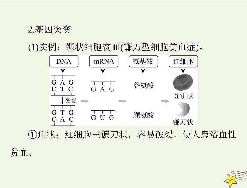 2023版高考生物一轮总复习第5章第1节基因突变和基因重组课件第7页