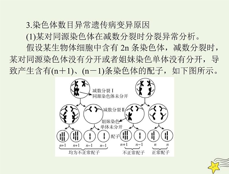 2023版高考生物一轮总复习第5章第3节人类遗传参件 课件06