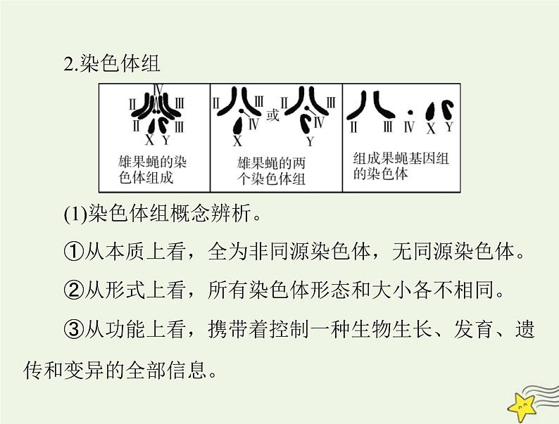 2023版高考生物一轮总复习第5章第2节染色体变异课件03