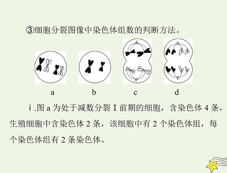 2023版高考生物一轮总复习第5章第2节染色体变异课件06