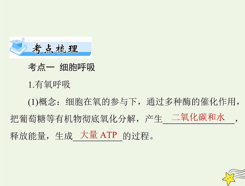 2023版高考生物一轮总复习第5章第3节细胞呼吸的原理和应用课件第2页