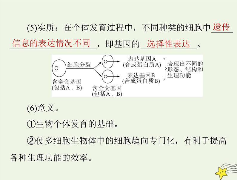 2023版高考生物一轮总复习第6章第2、3节细胞的分化细胞的衰老和死亡课件第4页