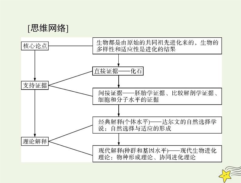 2023版高考生物一轮总复习第6章生物的进化课件第3页