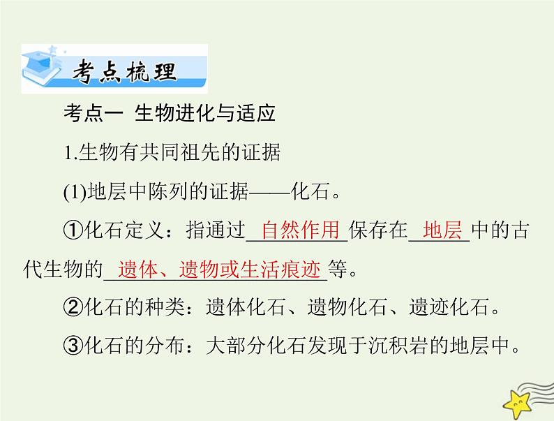 2023版高考生物一轮总复习第6章生物的进化课件第4页