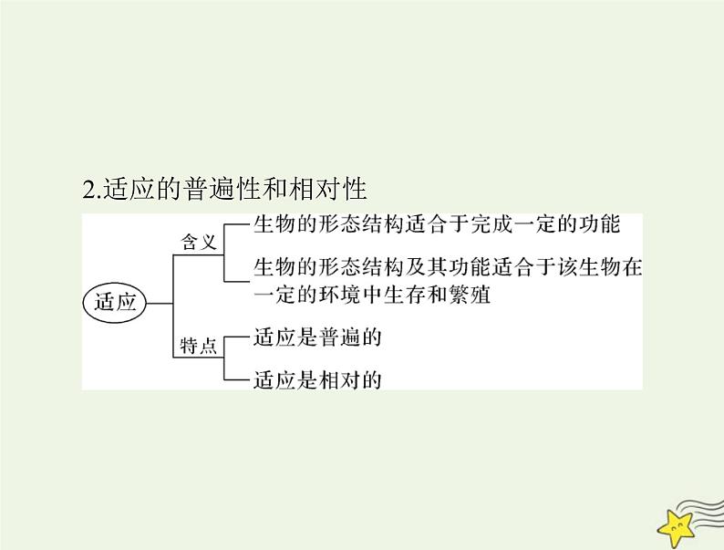 2023版高考生物一轮总复习第6章生物的进化课件第6页