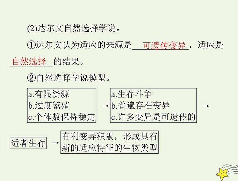 2023版高考生物一轮总复习第6章生物的进化课件第8页