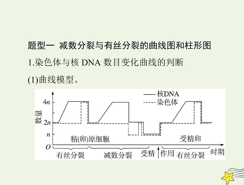 2023版高考生物一轮总复习小专题五减数分裂和有丝分裂题型突破课件第2页