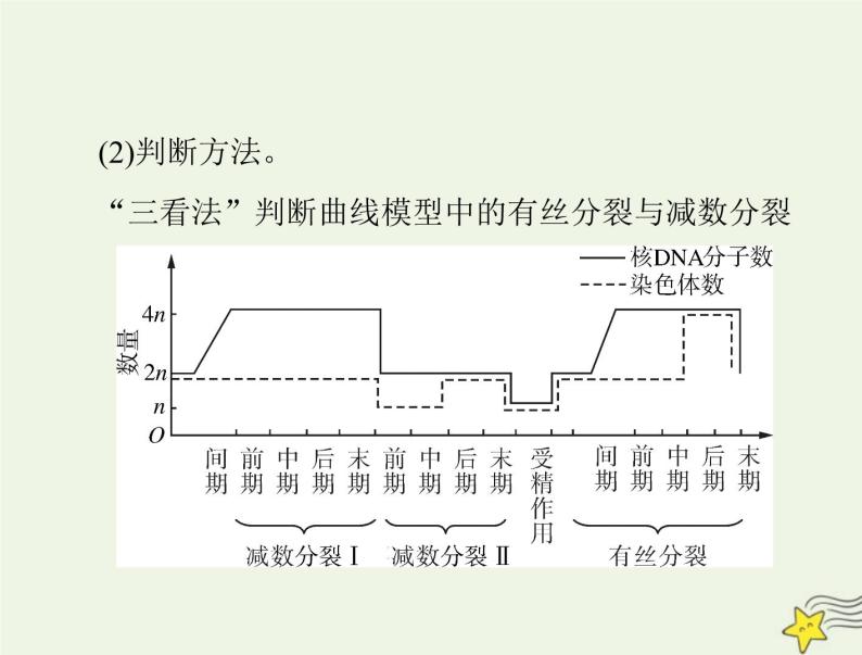 2023版高考生物一轮总复习小专题五减数分裂和有丝分裂题型突破课件03