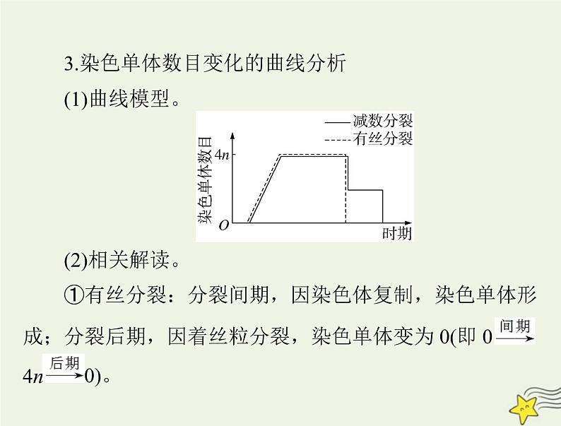 2023版高考生物一轮总复习小专题五减数分裂和有丝分裂题型突破课件第7页