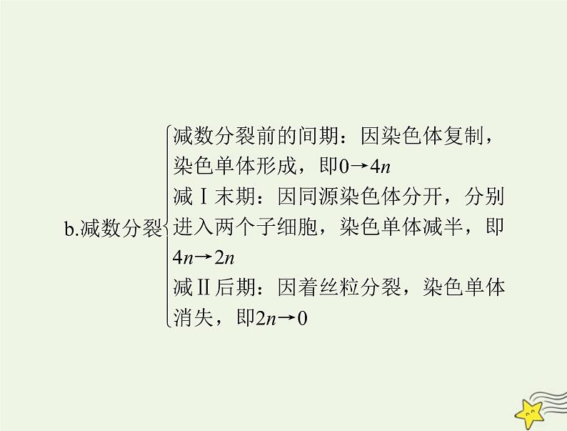2023版高考生物一轮总复习小专题五减数分裂和有丝分裂题型突破课件第8页