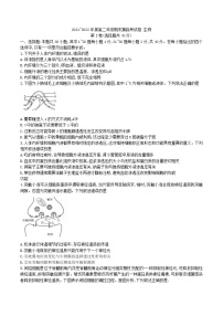 高二上生物期末摸底测试