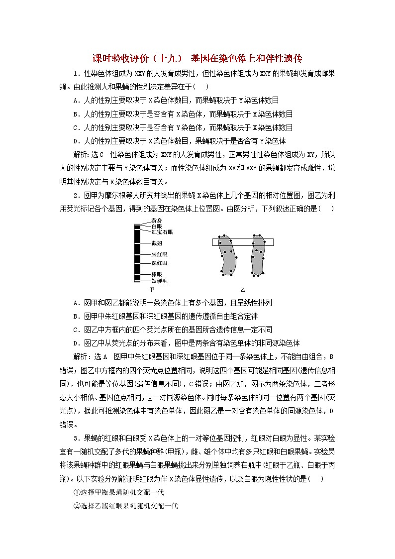 新课标2023版高考生物一轮总复习课时验收评价十九基因在染色体上和伴性遗传第1页