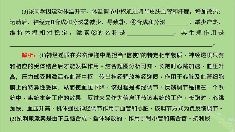 新课标2023版高考生物一轮总复习第八单元动物生命活动的调节第6讲神经_体液_免疫调节模型的构建与生命活动调节方式的判断课件第4页