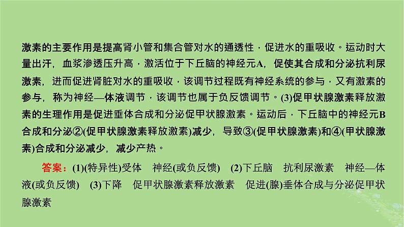 新课标2023版高考生物一轮总复习第八单元动物生命活动的调节第6讲神经_体液_免疫调节模型的构建与生命活动调节方式的判断课件第5页