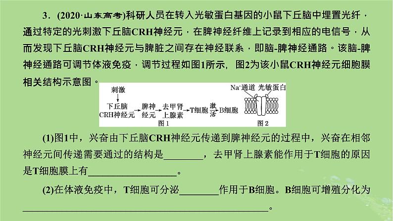 新课标2023版高考生物一轮总复习第八单元动物生命活动的调节第6讲神经_体液_免疫调节模型的构建与生命活动调节方式的判断课件第6页
