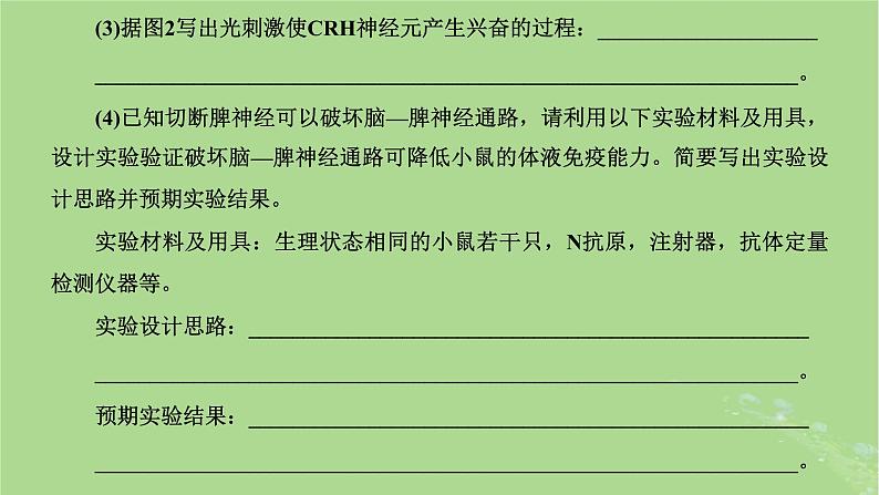 新课标2023版高考生物一轮总复习第八单元动物生命活动的调节第6讲神经_体液_免疫调节模型的构建与生命活动调节方式的判断课件第7页