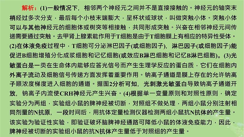 新课标2023版高考生物一轮总复习第八单元动物生命活动的调节第6讲神经_体液_免疫调节模型的构建与生命活动调节方式的判断课件第8页