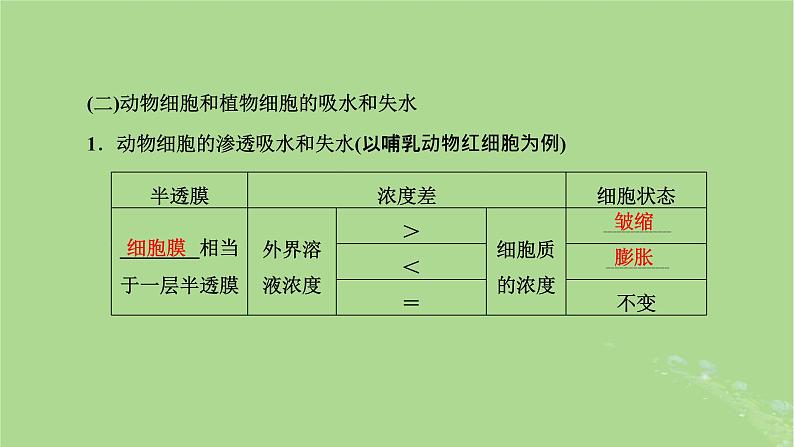 新课标2023版高考生物一轮总复习第二单元细胞的基本结构与物质的输入和输出第2讲细胞的物质输入和输出课件第4页