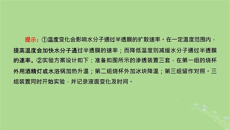 新课标2023版高考生物一轮总复习第二单元细胞的基本结构与物质的输入和输出第2讲细胞的物质输入和输出课件第8页