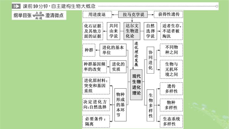 新课标2023版高考生物一轮总复习第七单元生物的变异与进化第3讲生物的进化课件02