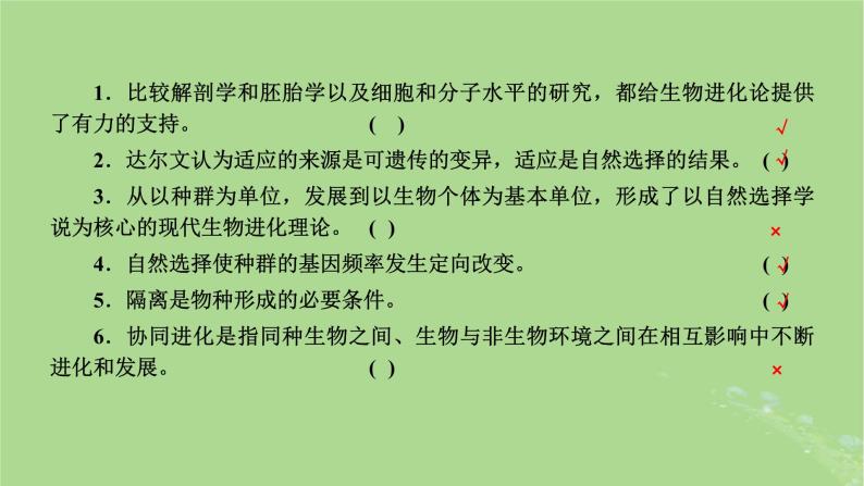 新课标2023版高考生物一轮总复习第七单元生物的变异与进化第3讲生物的进化课件03