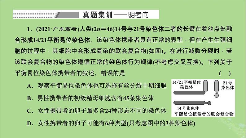 新课标2023版高考生物一轮总复习第七单元生物的变异与进化第4讲可遗传变异与细胞分裂的关系课件第2页