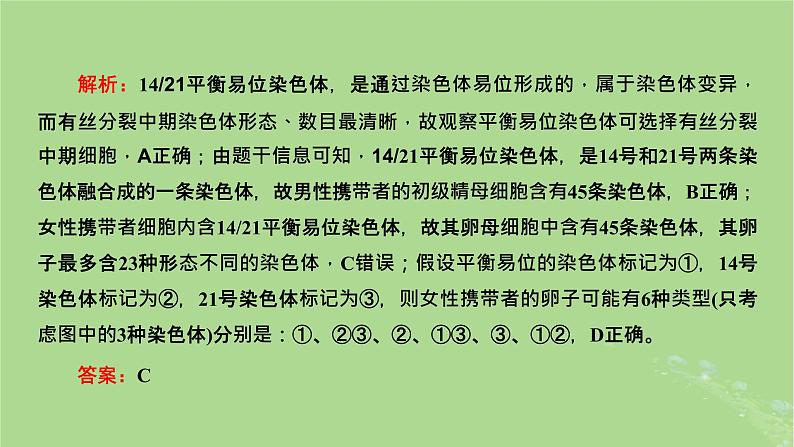 新课标2023版高考生物一轮总复习第七单元生物的变异与进化第4讲可遗传变异与细胞分裂的关系课件第3页