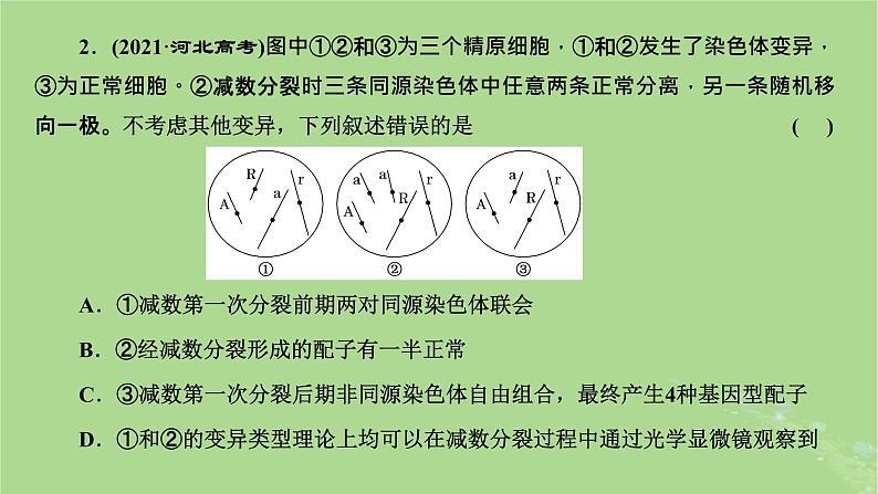 新课标2023版高考生物一轮总复习第七单元生物的变异与进化第4讲可遗传变异与细胞分裂的关系课件第4页