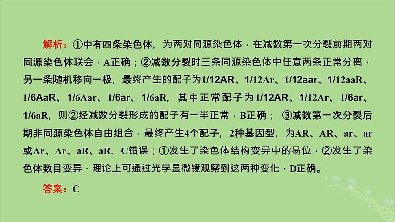 新课标2023版高考生物一轮总复习第七单元生物的变异与进化第4讲可遗传变异与细胞分裂的关系课件第5页